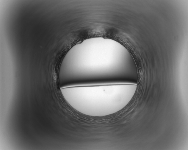 X0000099230617200804241230