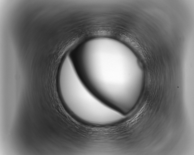X0000099230625200804241230