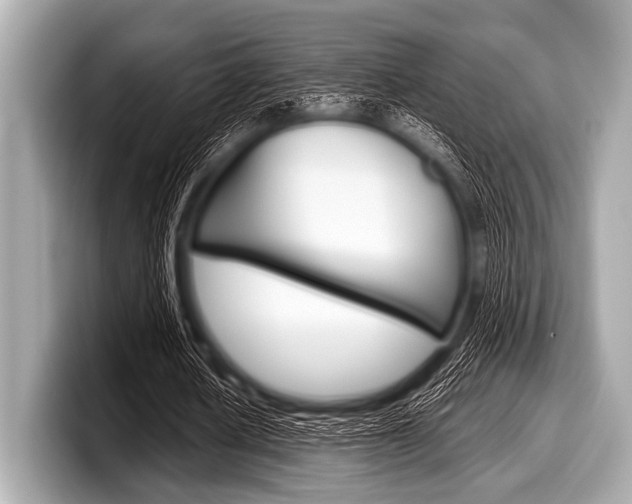 X0000099230626200804241230