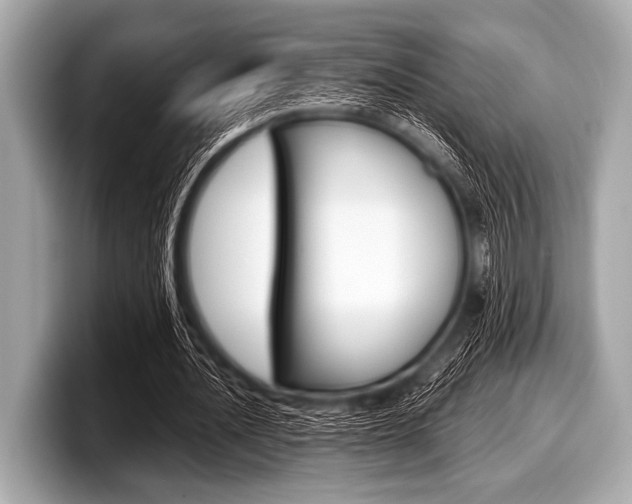 X0000099230628200804241230