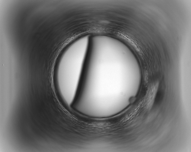 X0000099230629200804241230