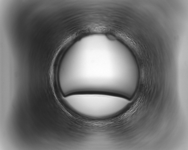 X0000099230630200804241230