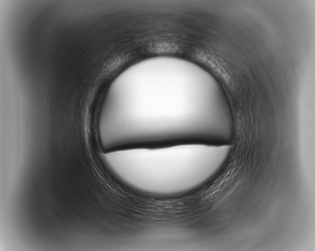 X0000099230631200804241230