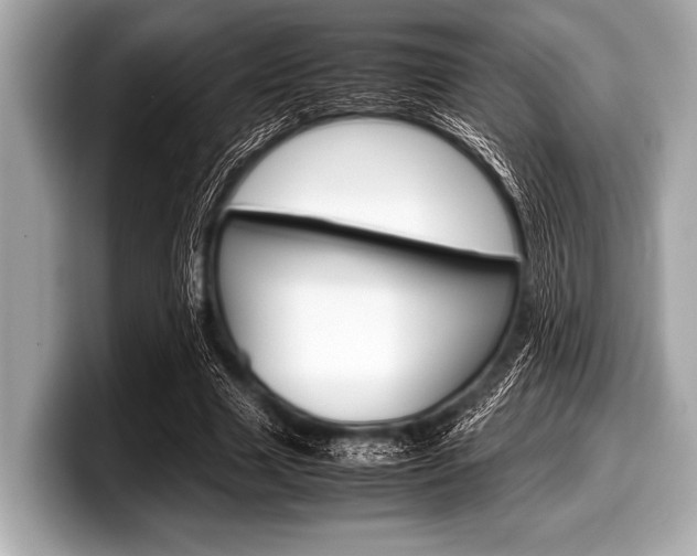 X0000099230633200804241230