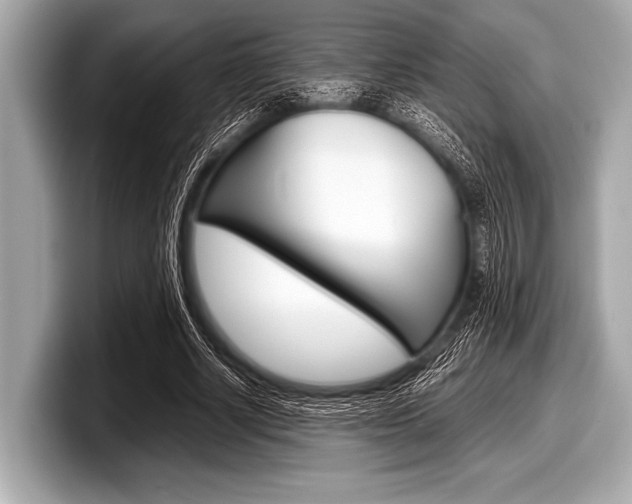 X0000099230634200804241230