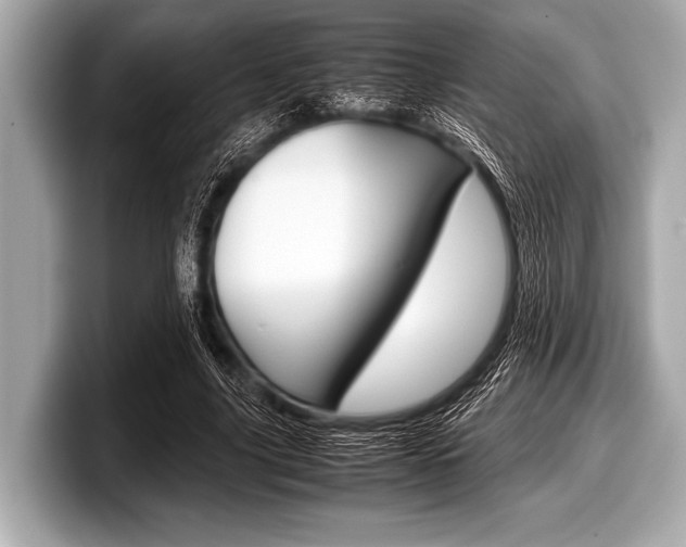 X0000099230635200804241230