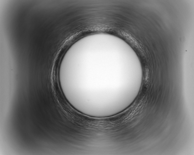 X0000099230636200804241230