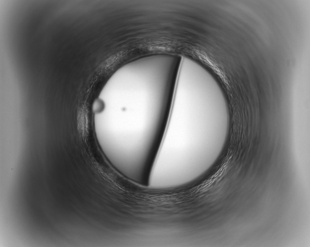 X0000099230637200804241230