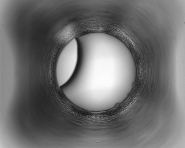 X0000099230641200804241230