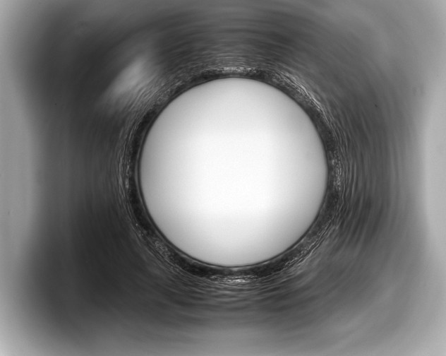 X0000099230643200804241230