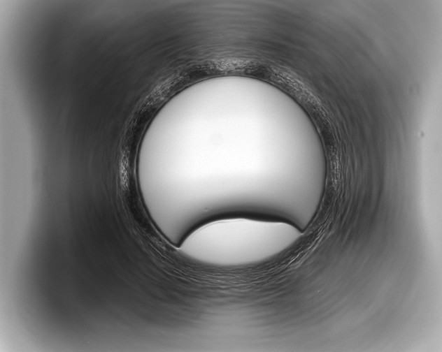 X0000099230644200804241230