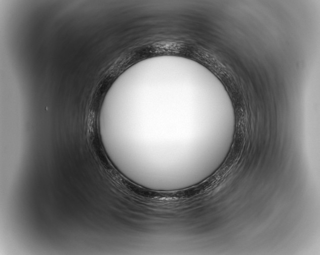 X0000099230649200804241230