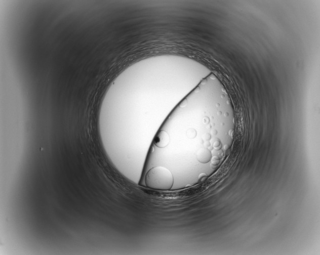 X0000099230651200804241230