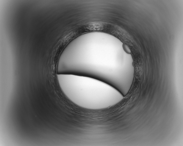 X0000099230652200804241230