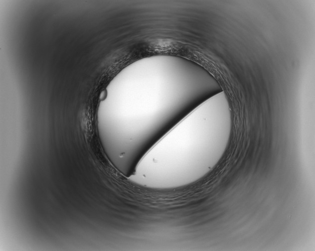 X0000099230653200804241230