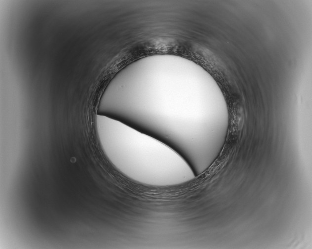 X0000099230656200804241230