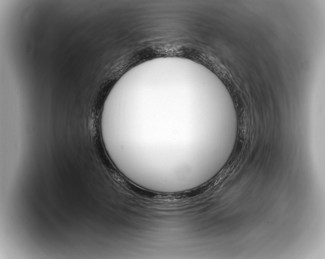 X0000099230658200804241230