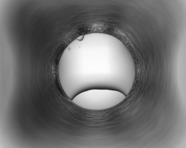 X0000099230663200804241230