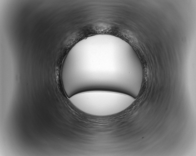 X0000099230664200804241230