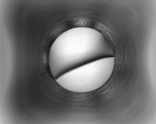 X0000099230665200804241230