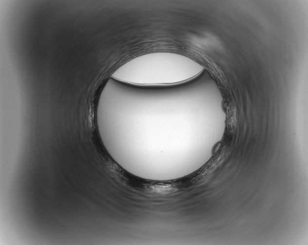 X0000099230669200804241230