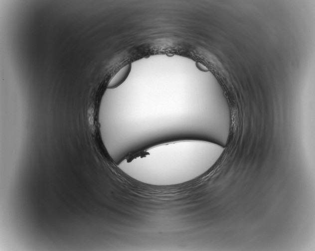 X0000099230670200804241230