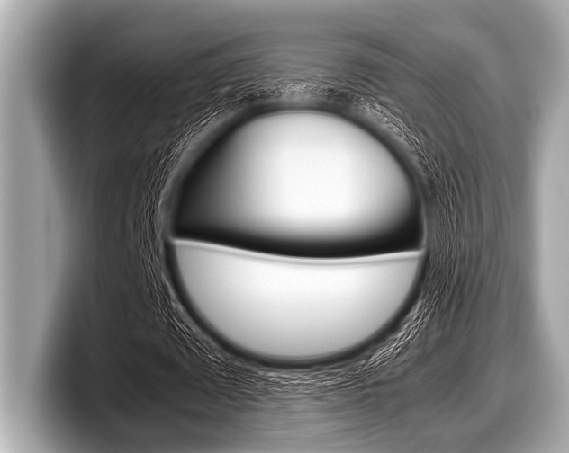 X0000099230673200804241230