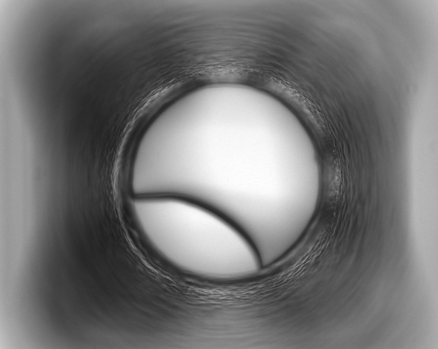 X0000099230674200804241230