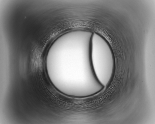 X0000099230675200804241230