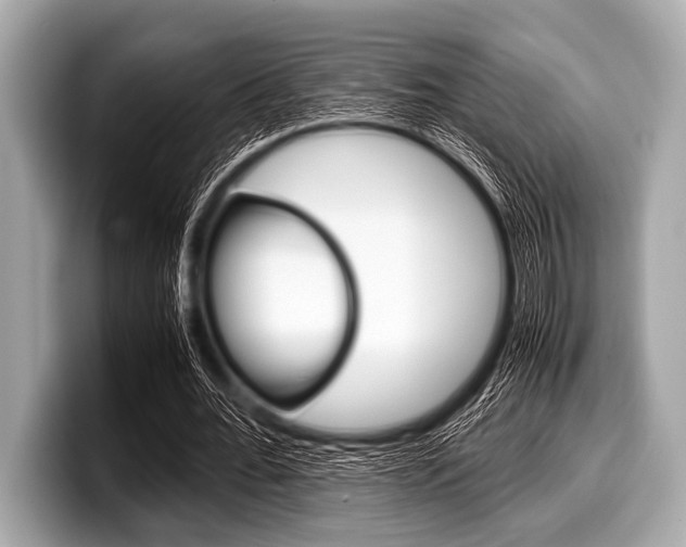 X0000099230676200804241230