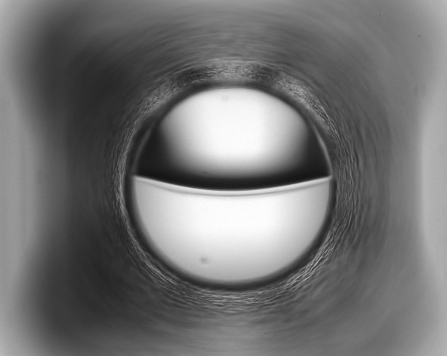 X0000099230677200804241230