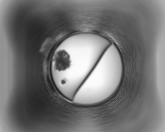 X0000099230679200804241230