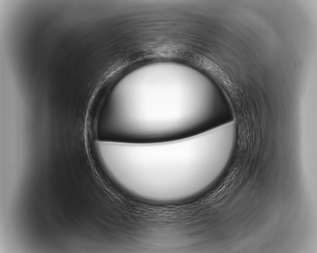X0000099230680200804241230