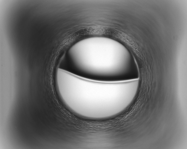 X0000099230681200804241230