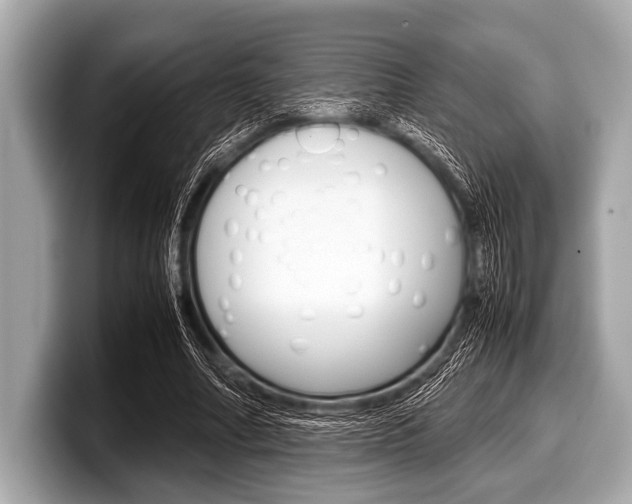 X0000099230682200804241230