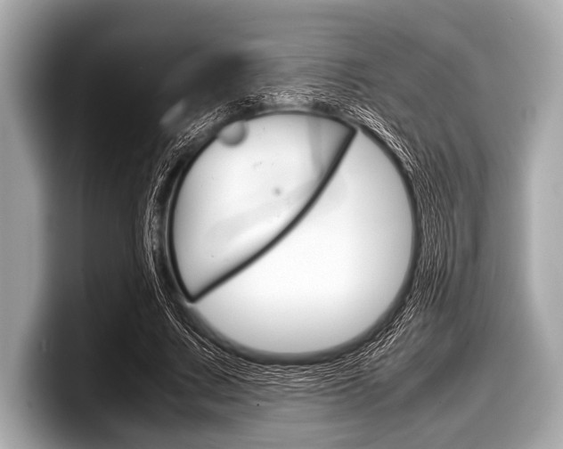 X0000099230683200804241230