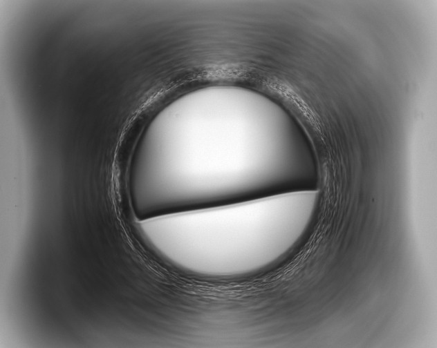 X0000099230684200804241229