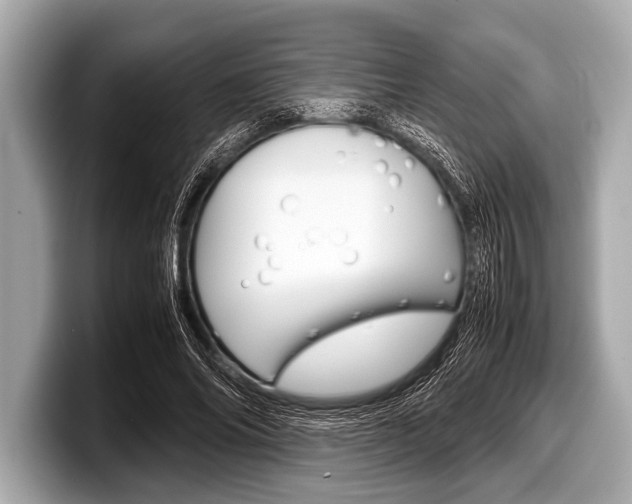 X0000099230686200804241229