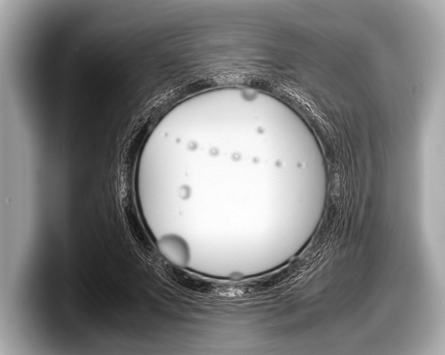 X0000099230687200804241229