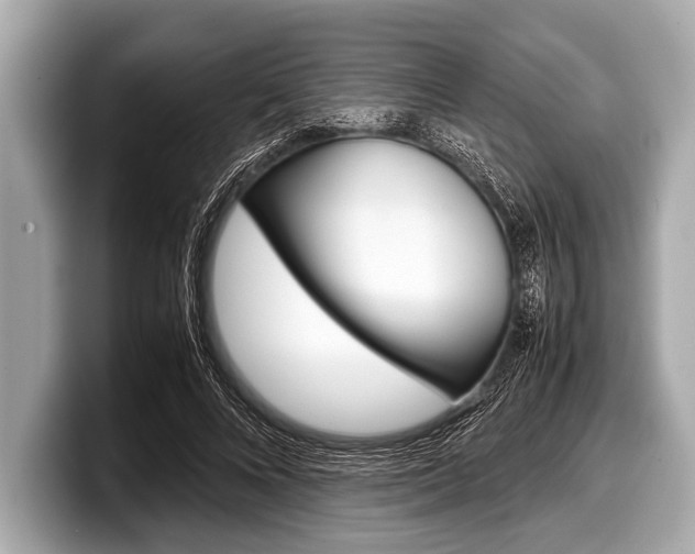 X0000099230688200804241229