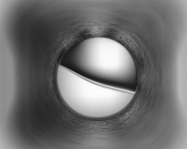 X0000099230689200804241229