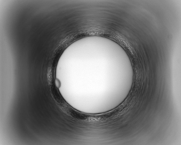 X0000099230690200804241229
