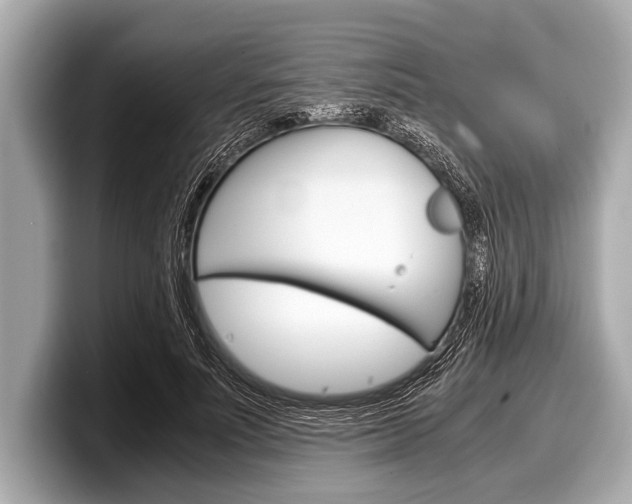 X0000099230691200804241229