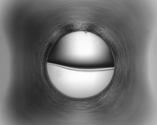 X0000099230693200804241229