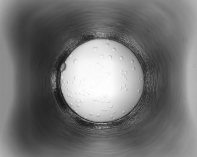 X0000099230694200804241229