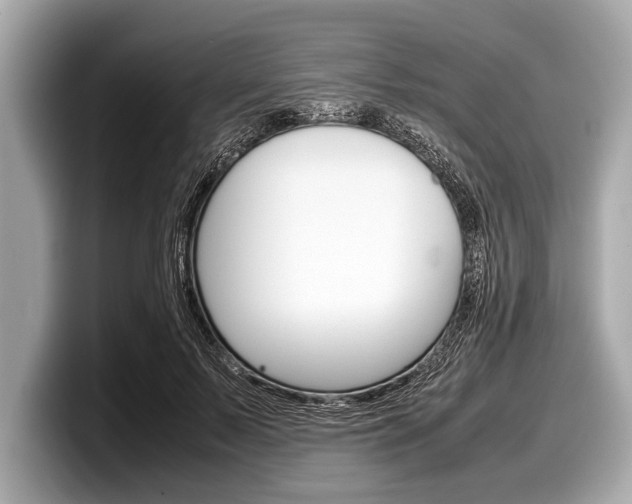 X0000099230695200804241229