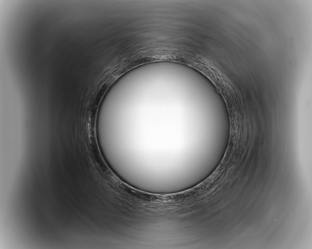X0000099230696200804241229