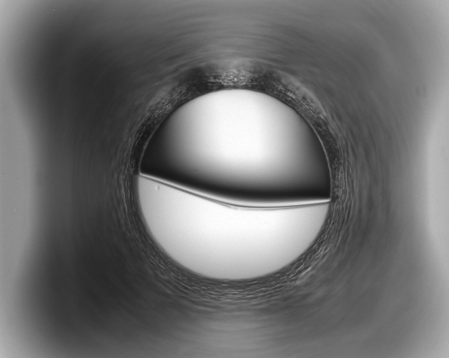 X0000099230697200804241229