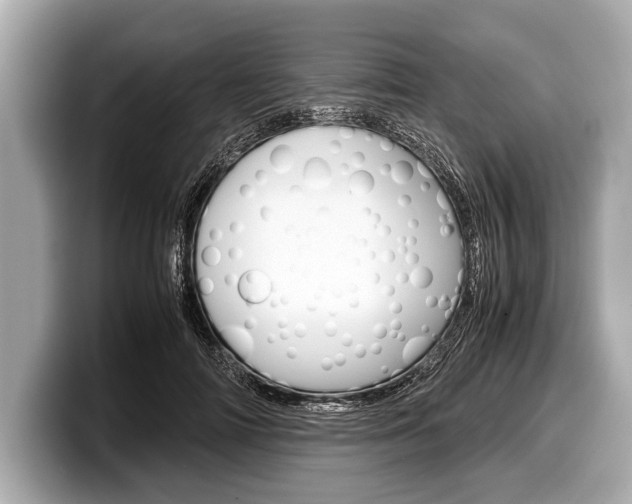 X0000099230698200804241229