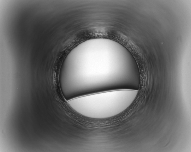 X0000099230704200804241229